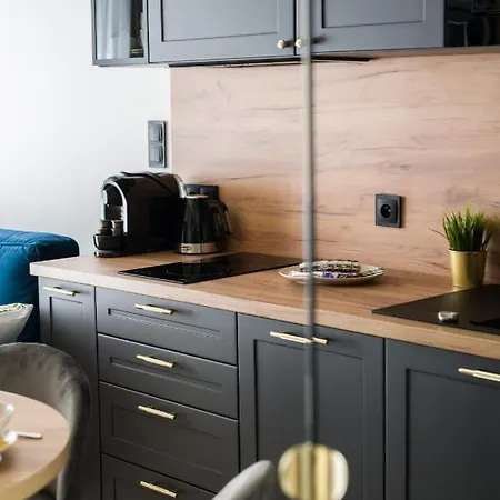 Niedzialkowskiego 25 Stary Browar Center By Renters Prestige Апартаменты Познань