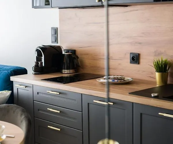 Niedzialkowskiego 25 Stary Browar Center By Renters Prestige Apartment Posen